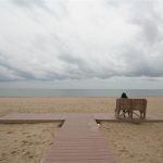At the Beach