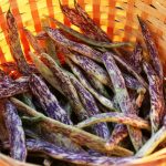 Dutch Dragon Tongue Beans