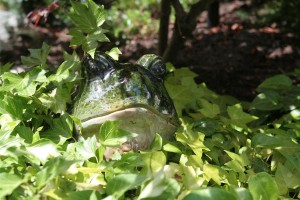 E VAN Garden tour 2