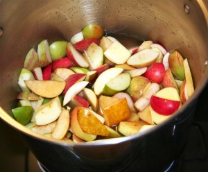 Cooking the apples to make one delicious sauce