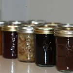 It is no accident that there is a fruit fly in this photo, they were my entourage all month