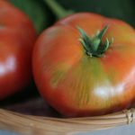 Silver Fir Tomato - grown for it's decorative foliage - but the fruit looks great too!