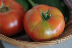 Silver Fir Tomato - grown for it's decorative foliage - but the fruit looks great too!