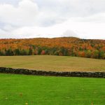 Fall Foliage landscape (Large)