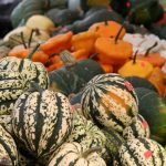 Market Squash