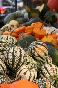 Market Squash