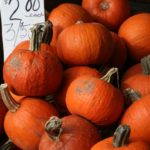 Pie Pumpkins