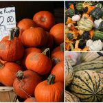 Market Squash (Large) (2)