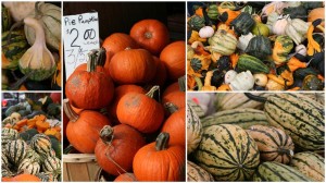 Market Squash (Large) (2)