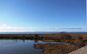 The Reifel Bird Santuary from up on the blind.  The Snow Geese are the white band at land's end.