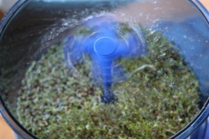 Automatic Sprouter Sprinkler