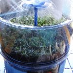 Fresh Life Automatic Sprouter