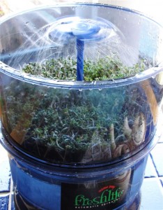 Fresh Life Automatic Sprouter