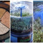 Sprouting with the Fresh Life Automatic Sprouter