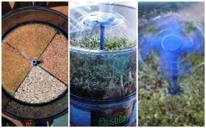 From left: sprouting spelt berries, sunflower seeds, and alfalfa / radish / red clover mix; the Fresh Life Automatic Sprouter; the whirling sprinker is a hit with the under 4 crowd.