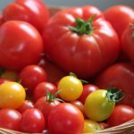 Tomato Bounty (Custom)