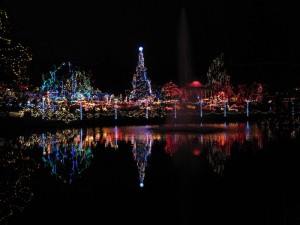 VanDeusen Gardens Festival of Lights 2009