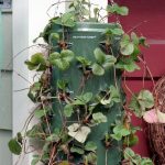 Strawberry Planter (Large)