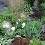 Front Garden April 2010-5 (Medium)