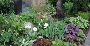 Front Garden April 2010-5 (Medium)