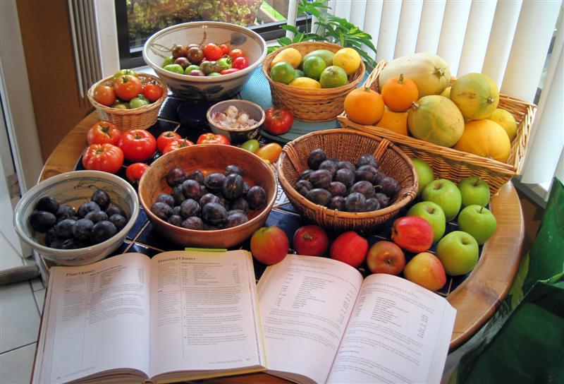 harvest monday Sept 20