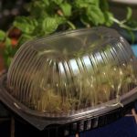 Chicken Seed Sprouter for Micro Greens