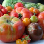 Heirloom Tomatoes Heirloom Tomatoes