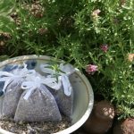 Lavender Sachets Lavender Sachets