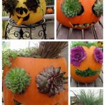 Jack-o-Lantern Planters with Sedum and Kale(c) Jack-o-Lantern Planters with Sedum and Kale(c)