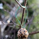 Finished Pinecone birdfeeder (Medium)