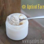 Apricot Face Scrub Recipe