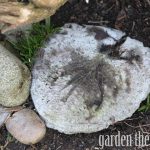 Big Leaf Hosta Stepping Stone Concrete Project DIY (Small) Big Leaf Hosta Stepping Stone Concrete Project DIY (Small)