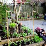 Easy Pea trellis with twine and bamboo (Medium)
