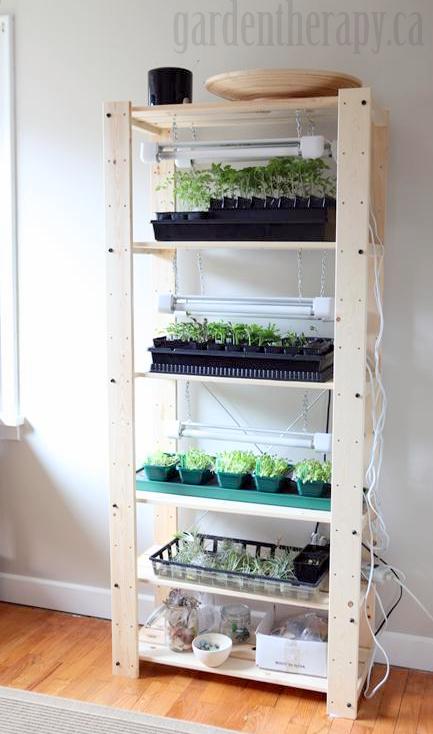 Grow Light Shelving for Seed Starting Indoors  Garden Therapy