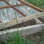 Window Cold Frame open
