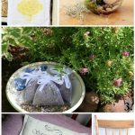Handmade Mother's Day Gifts Ideas for Garden Loving Moms (Medium) Handmade Mother's Day Gifts Ideas for Garden Loving Moms (Medium)