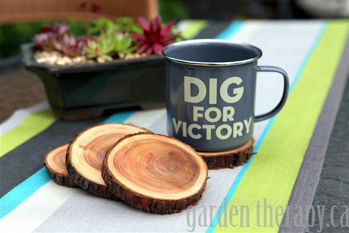 collected a few thick branches to turn into sets of coasters that I 