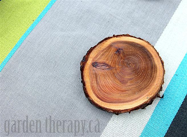 Tree Branch into Coasters