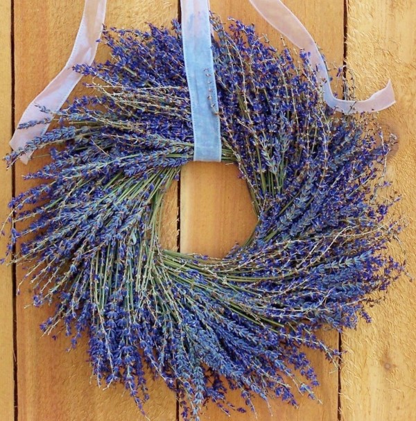 7-dried-lavender-uses-lavender-uses-dried-lavender-dried-lavender