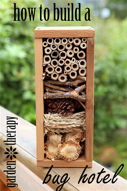 How to Build a Bug Hotel 