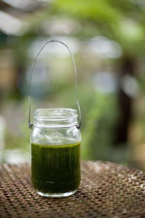 Basil Oil