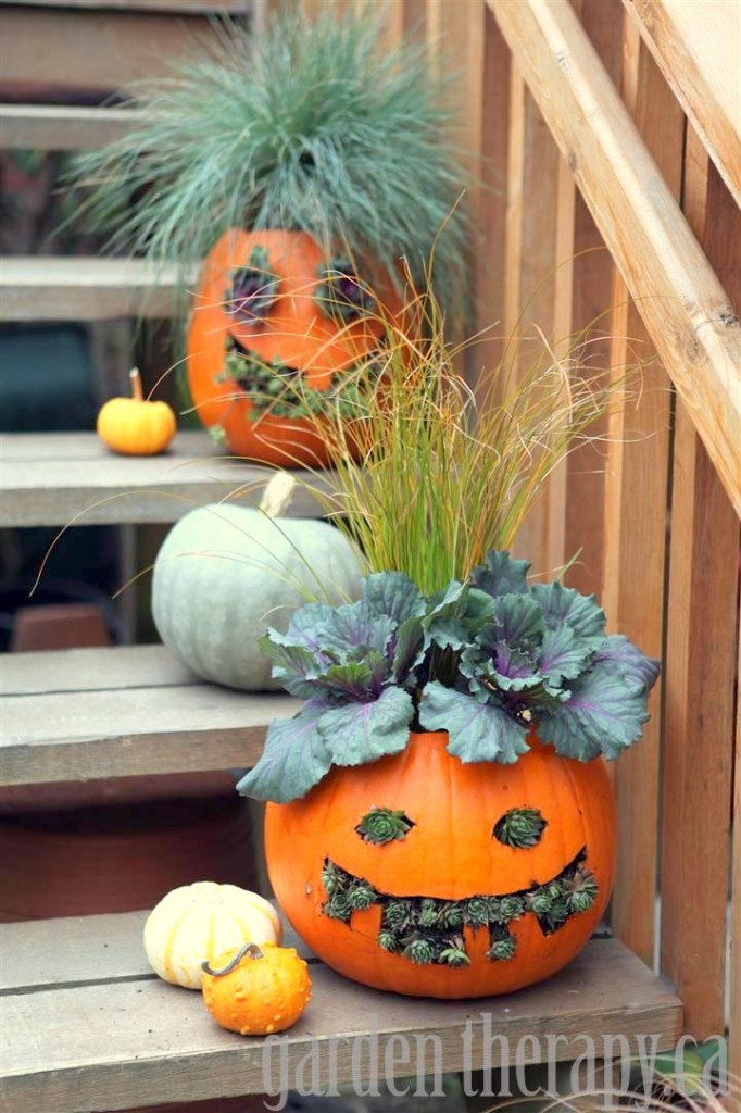 DIY a Jack o lantern planters pumpkin planter