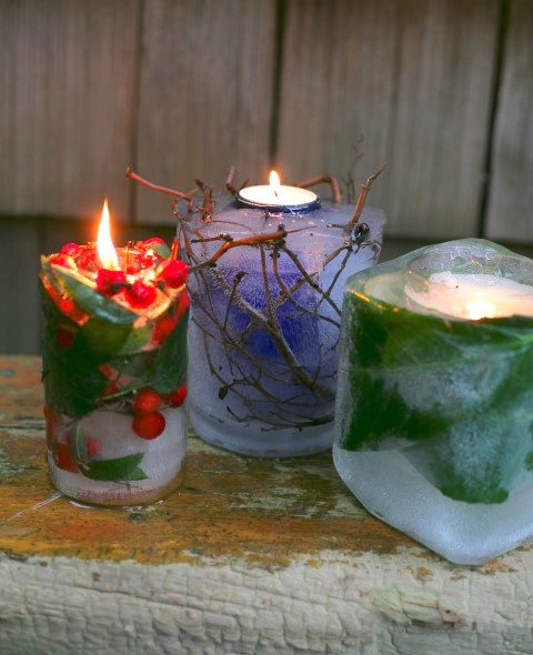 http://gardentherapy.ca/frozen-garden-candles/#.UuQFKxAo6M8