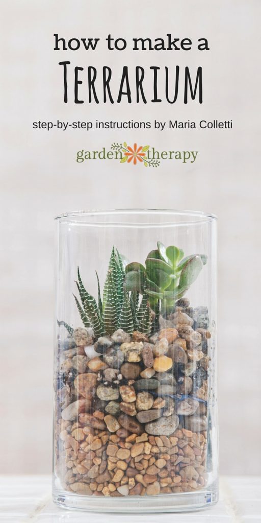 create a gorgeous soilless terrarium garden create a gorgeous soilless terrarium garden