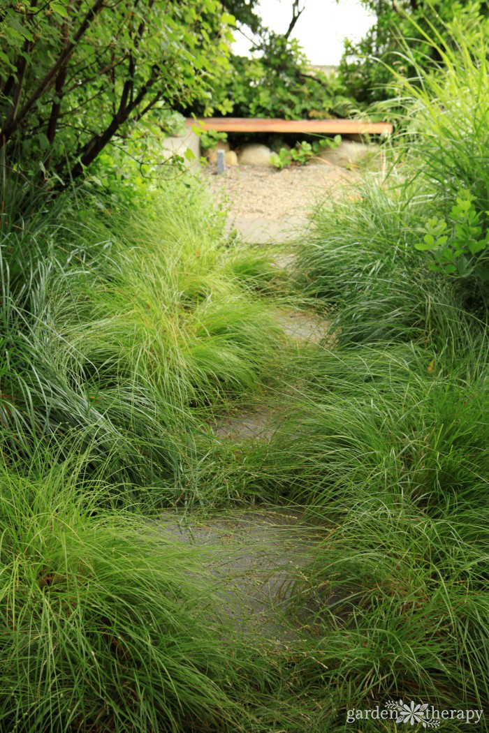 Pathway to a Secret Garden Wooden Bench