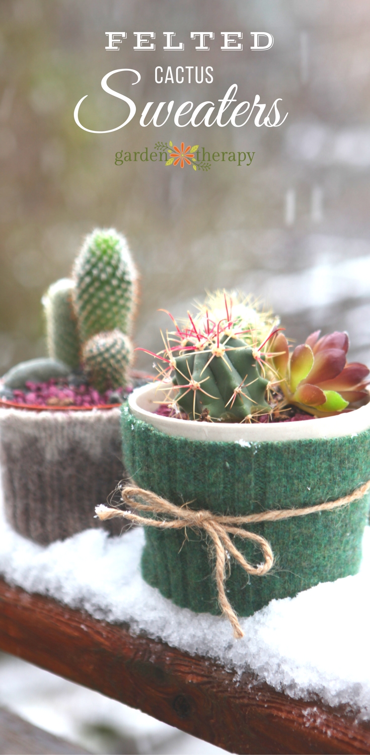 How to make these cute Felted Cactus Sweaters