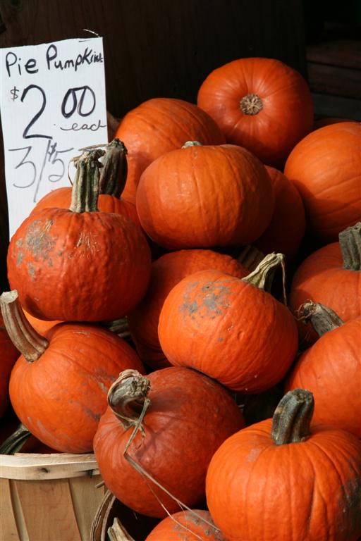 Pie Pumpkins