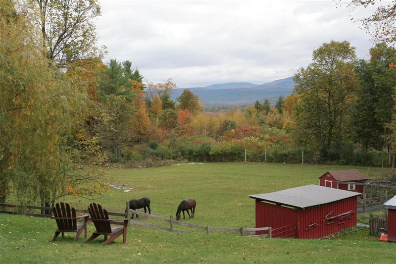 Trevin Farms: view from farmhouse