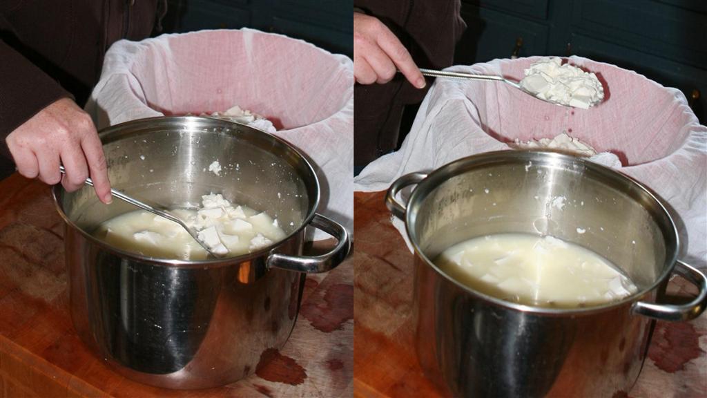 Making chevre in Vermont