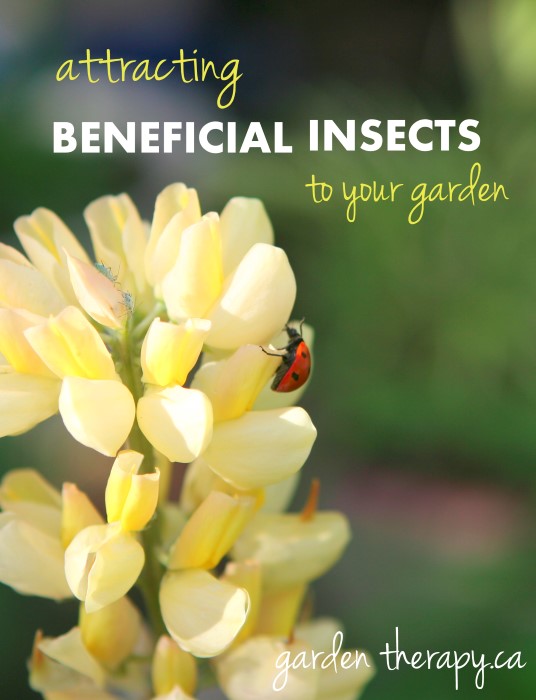 Attracting Beneficial Insects to Your Garden and lots of other great ideas for pest management!